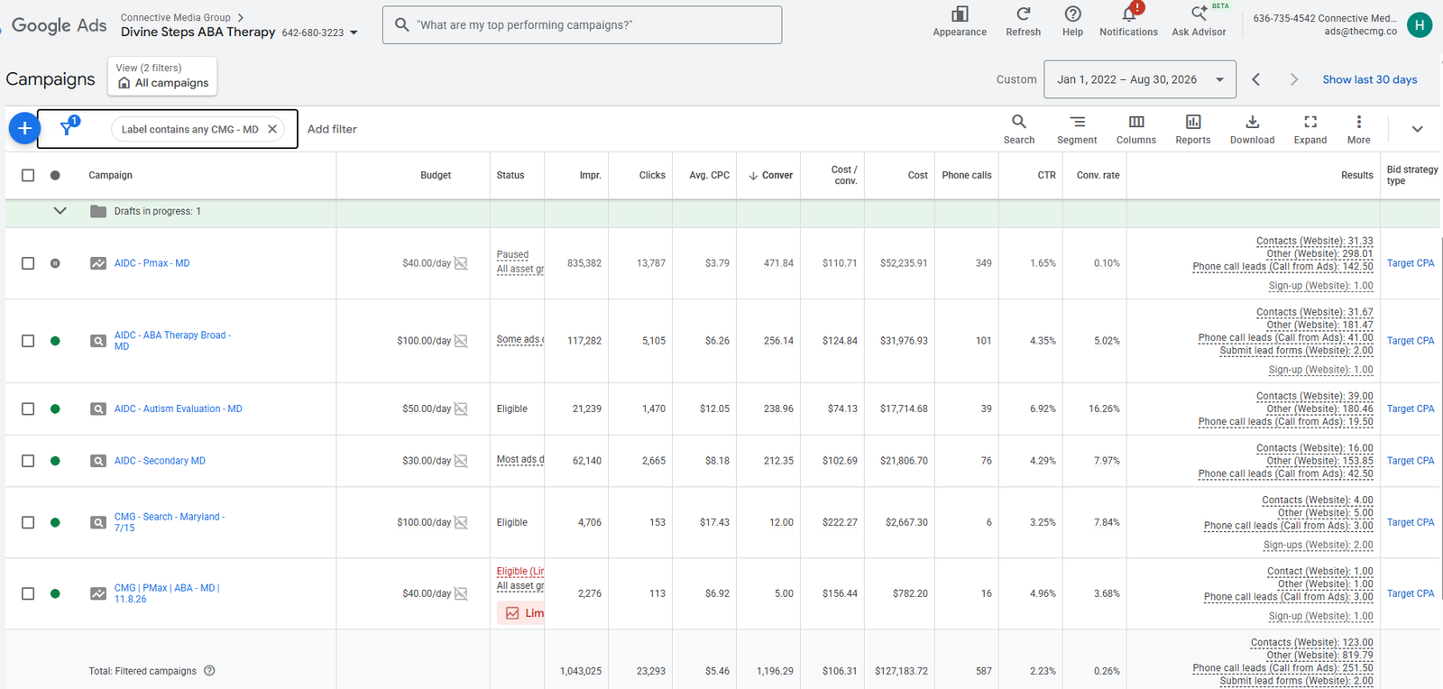 Divine Steps Aba Google Ads campaign results