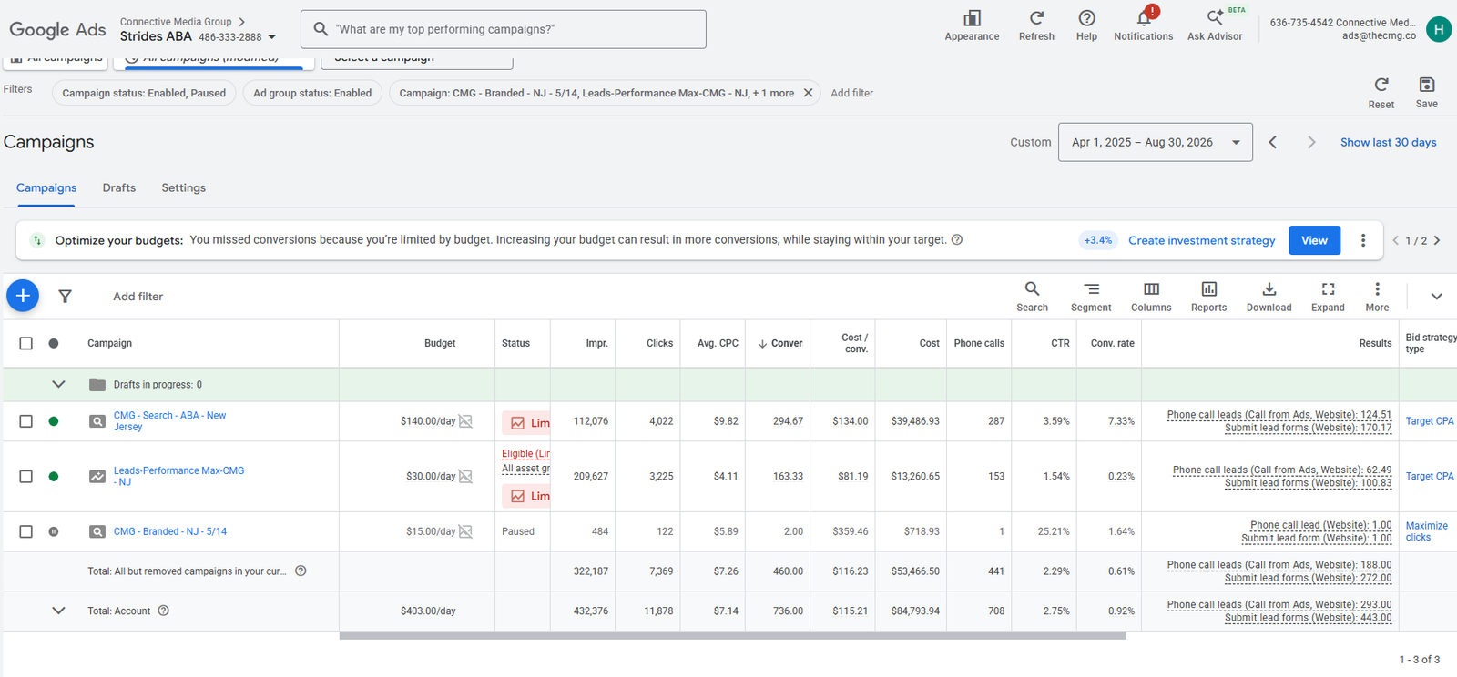 Strides Aba Google Ads campaign results
